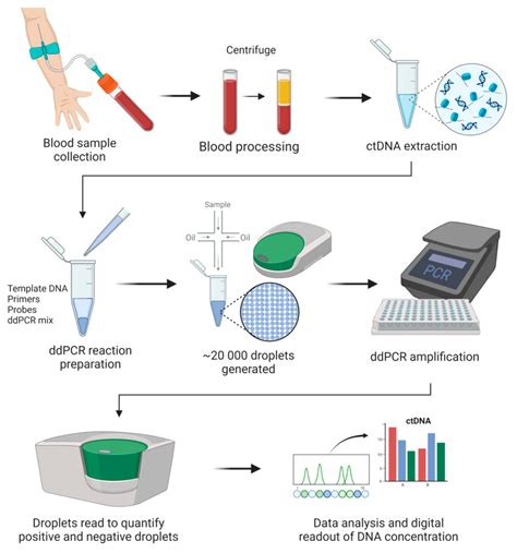 south africa drop pcr test|can you enter south africa without pcr test.